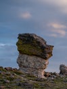 Evening Highlights On Small Mushroom Rock Formation In The Tundra of Rocky Mountain
