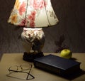 Evening at home, lamp and book