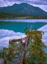 Walchensee, Germany - Teen Girl Standing on Tree at Evening Hour on Shore of Walchensee Lake with View of Bavaria Alps Mountains Royalty Free Stock Photo