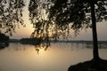 Evening on the lake in summer in July. The reeds are reflected on the calm surface of the water. Soft light and bright colors. Royalty Free Stock Photo