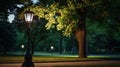 Evening lamp in the park: a lone lantern in the shade of trees