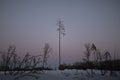 Evening landscape of forest and sky. Forest in winter after sunset. Natural landscape in Russia Royalty Free Stock Photo