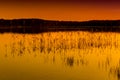 Evening landscape on lake