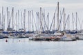 Evening landscape. Marina. Yachts standing in port.