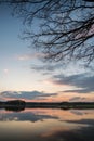Evening landscape over the pond with few trees and branches Royalty Free Stock Photo