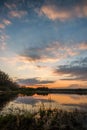 Evening landscape over the pond with reed Royalty Free Stock Photo