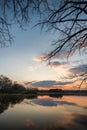 Evening landscape over the pond with trees and branches Royalty Free Stock Photo