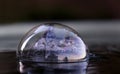 The evening landscape is reflected in a soap bubble on a water surface