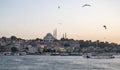 Evening landscape from the sea to the Sofia mosque with ships and flying seagulls over the sea. Sunset in Istanbul Royalty Free Stock Photo