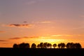 Evening landscape with silhouettes of trees against the sky with