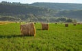 Evening landscape of straw hay bales on green field at sunset. Rural nature Royalty Free Stock Photo