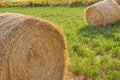 Evening landscape of straw hay bales on green field at sunset. Rural nature Royalty Free Stock Photo