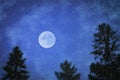 Evening Landscape. The Tops Of Fir Trees Against The Evening Sky Of The Moon And Stars