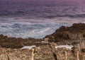 Evening landscape at the Tsitsikamma National Park and the Otter Trail in South Africa Royalty Free Stock Photo