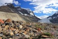 Evening Light on Athabasca Glacier and Moraine, Jasper National Park, Alberta, Canada Royalty Free Stock Photo