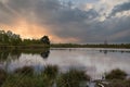 Evening light at the edge of a lake in the Maasduinen in Noord Limburg. Dutch landscape Royalty Free Stock Photo