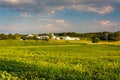 Evening light on farm fields in Howard County, Maryland.