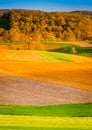 Evening light on farm fields in rural York County, Pennsylvania.