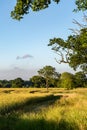 A rural Sussex view over farmand in summer