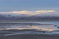 Evening Light on the HIgh Arctic Tide Pools Royalty Free Stock Photo