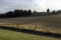 Evening light over the cultural landscape Gulpen, South Limburg, the Netherlands