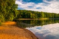 Evening light on the shore of Lake Marburg, in Codorus State Par Royalty Free Stock Photo