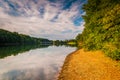 Evening light on the shore of Lake Marburg, in Codorus State Par Royalty Free Stock Photo