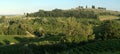 Evening light on a Tuscan hillside