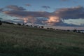 Evening meadow, field on hill with dry yellow green grass. Twilight blue sky with beautiful sunset pink orange clouds.