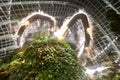 Evening Misting at Gardens by the Bay Cloud Forest Dome