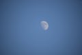 Evening Moon at 4pm in the sky Royalty Free Stock Photo