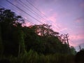 Evening nature srilanka