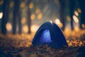 Evening near the tent in the forest Tourist tents.AI Generative.