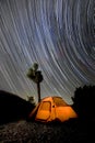 Evening Night Under the Star Trails in Joshua Tree National Park Royalty Free Stock Photo