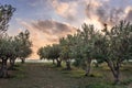 Evening in Nubia on Sicily Royalty Free Stock Photo