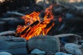 Evening Open Fire Flame Outdoors. Selective Focus Royalty Free Stock Photo