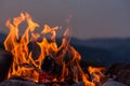 Evening Open Fire Flame Outdoors. Selective Focus Royalty Free Stock Photo