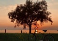 Evening orange sunset at sea tree silhouette people watching on grass pink sky enjoy sun down on front bike relaxing romantic scen Royalty Free Stock Photo