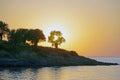 Evening over the sea. Colorful sunset. The bright red sun sets over the mountain in the clouds. The silhouette of the olive tree. Royalty Free Stock Photo