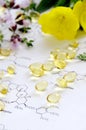 Evening primrose and capsules Royalty Free Stock Photo