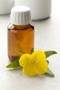 Evening Primrose oil Royalty Free Stock Photo