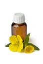 Evening Primrose oil Royalty Free Stock Photo