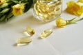 Evening primrose oil capsules with fresh blooming plant Royalty Free Stock Photo