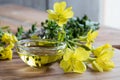 Evening primrose oil in a glass bowl Royalty Free Stock Photo