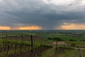 Evening rain in a vineyard Royalty Free Stock Photo
