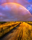 Evening rainbow over the marshlands