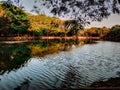 Evening Reflections Across a Calm Forest Lake Royalty Free Stock Photo