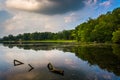 Evening reflections in a swampy area of Lake Pinchot, Gifford Pi Royalty Free Stock Photo