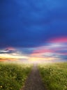 Evening road in steppe to sunset