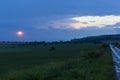 Evening over a green grain field 